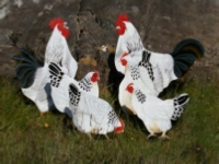 unusual garden ornaments - cockerels, chickens and hens