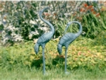 Pair fo Cranes