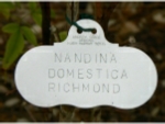 Victorian Label