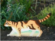 Cat Walking - Ginger, Brown Stripe
