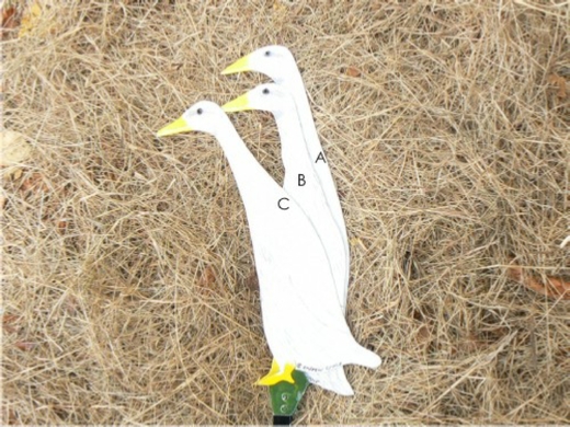 Runner Ducks
