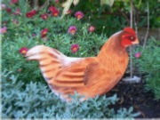 Hen Sitting - Chestnut