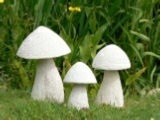 Limestone Toadstools